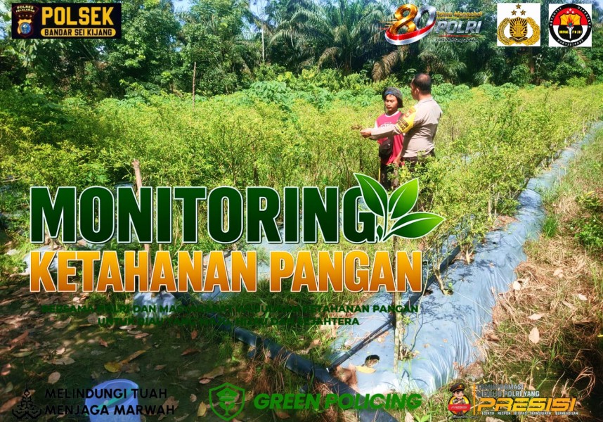 Polsek Bandar Sei Kijang Dampingi Warga Rawat Tanaman Cabe, Dukung Ketahanan Pangan di Pelalawan