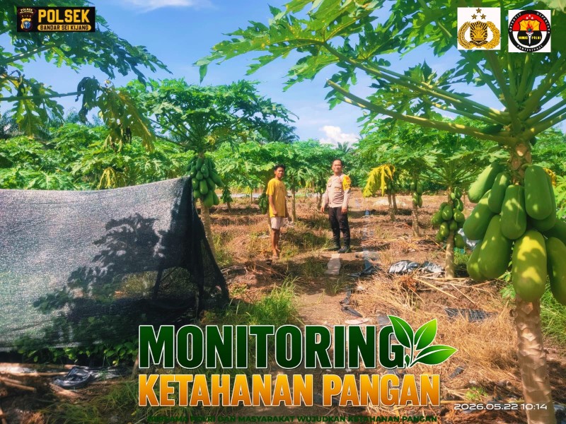 Polri Dampingi Warga Lubuk Ogung Rawat Tanaman Pepaya, Dukung Ketahanan Pangan Pelalawan