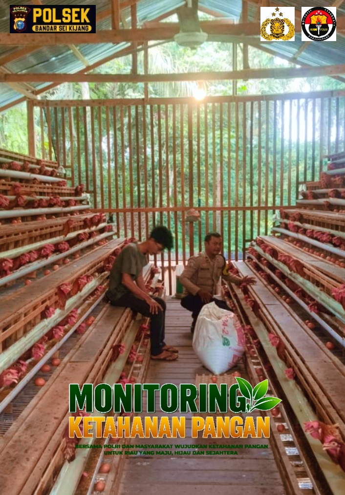 Bhabinkamtibmas Desa Muda Setia Monitoring Peternakan Ayam Petelur Tematik, Dukung Program Astacita Ketahanan Pangan