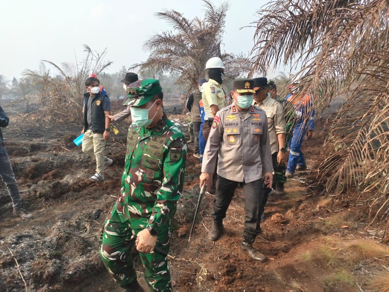 Pangdam XIX/TT dan Kapolda Riau Tinjau 34 Hektare Lahan Terdampak Karhutla di Dayun