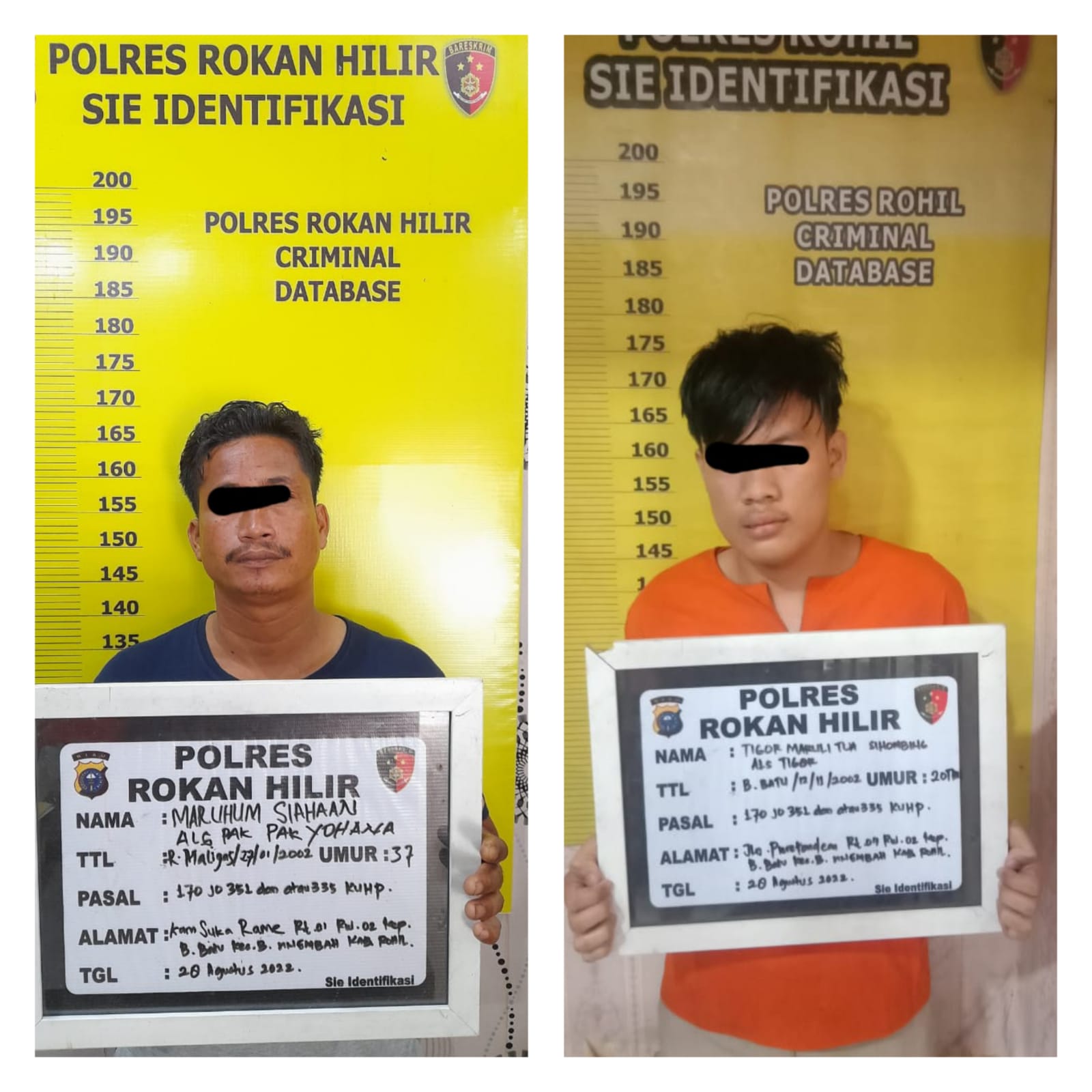 Dua Pelaku Pengeroyokan Dan Kekerasan sesama F.SPTI - K.SPSI Diamankan Polres Rohil