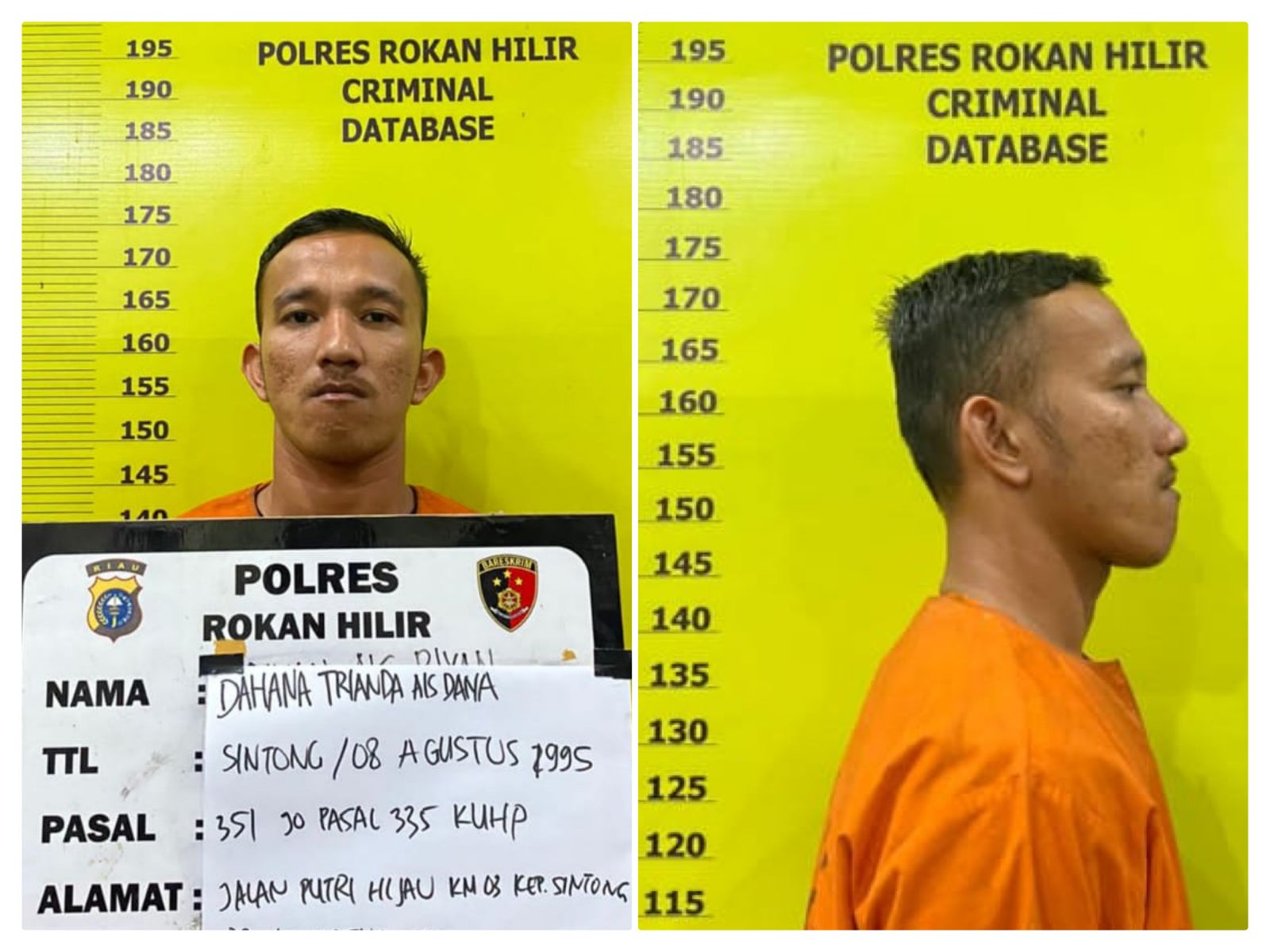 Kejar Bawa Parang dan Pukul Korbannya, Warga Sintong Diamankan Satreskrim Polres Rohil