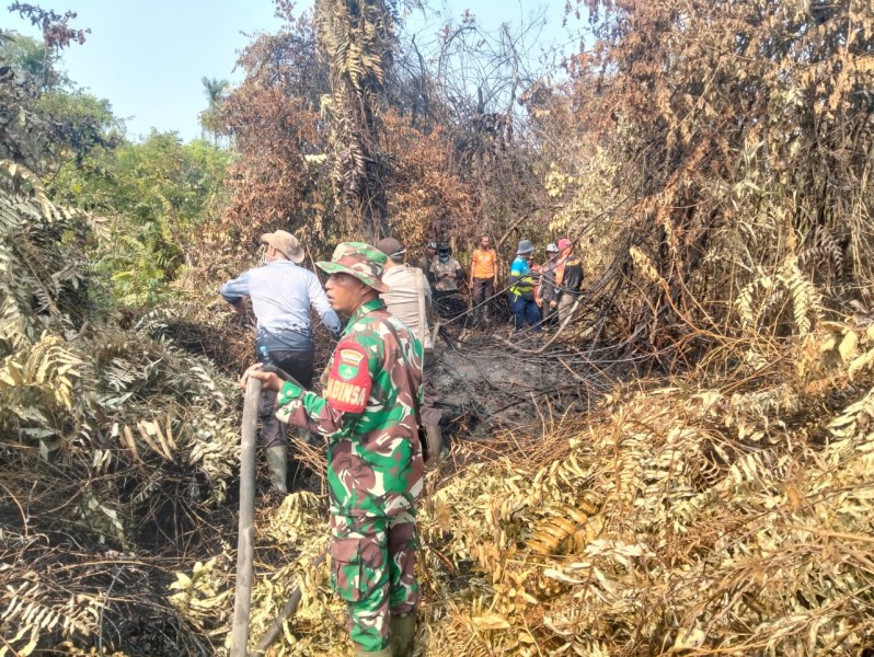 Kodam XIX/Tuanku Tambusai Lanjutkan Pendinginan Karhutla 10 Hektare di Tembilahan