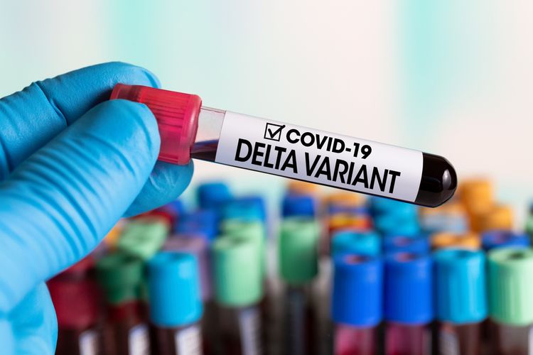 Varian Delta Meluas, PB IDI Sarankan Pintu Masuk ke Indonesia Ditutup