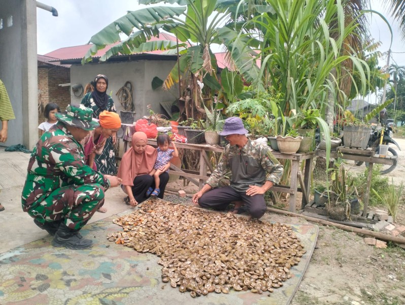 TMMD ke-127 Hadir di Tengah Petani Buah Pinang, Bangun Rasa Keluarga