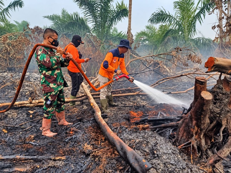 Respons Cepat Satgas Karhutla, Lahan Terbakar di Kuansing dan Inhu Berhasil Diamankan