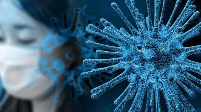 Varian Baru Virus Corona yang Terdeteksi di Malaysia Buan Dari Kelelawar Tapi Dari Anjing