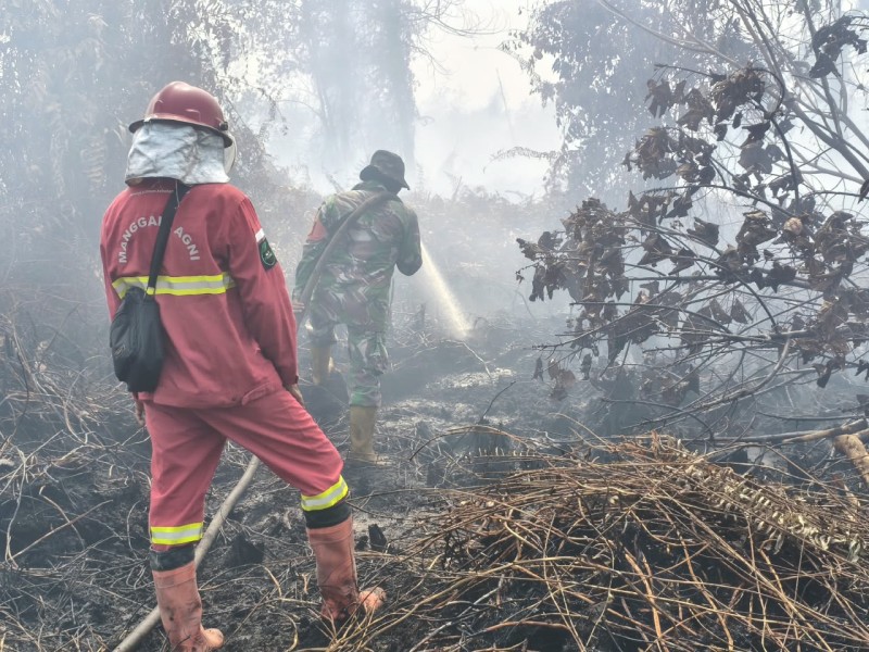 Kodam XIX Tuanku Tambusai Perkuat Penanganan Karhutla, 14 Hektare Lahan di Kampar Terbakar