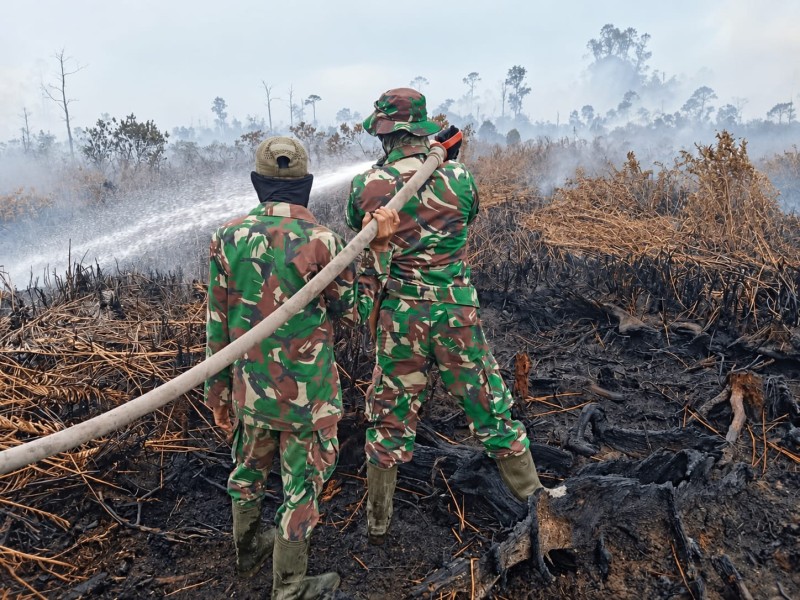 Api Berhasil Dipadamkan, Tim Gabungan Lanjutkan Pendinginan Lahan di Inhu