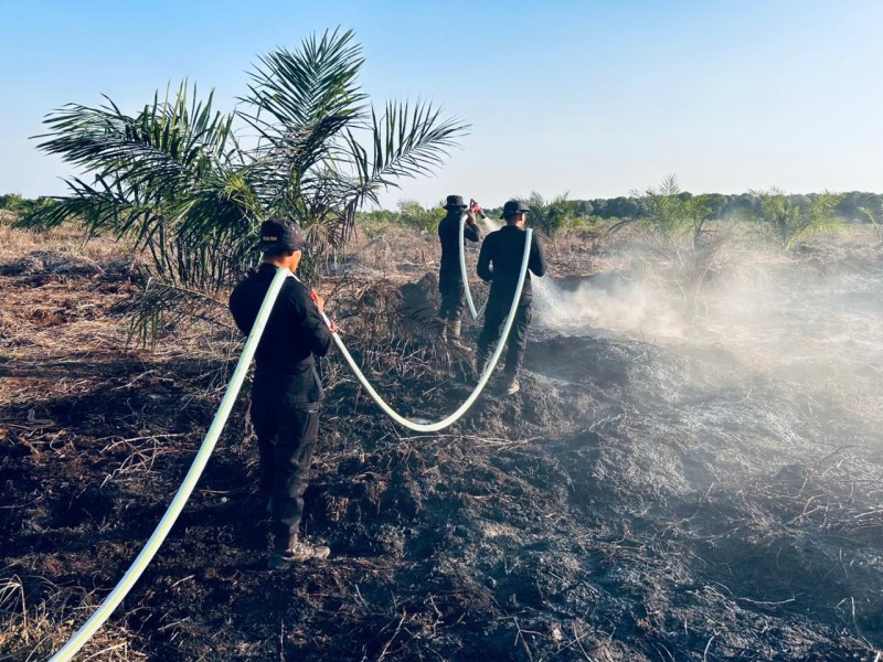 Kebakaran Hutan, Brimob Polda Riau Turun Padamkan Api