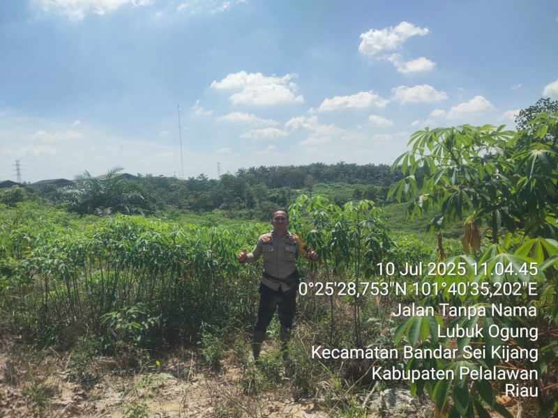 *Bhabinkamtibmas Desa Lubuk Ogung Sambangi Kebun Pekarangan Bergizi Mandiri dalam Mendukung Program Asta Cita Presiden RI*
