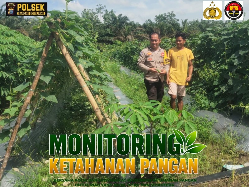 Bhabinkamtibmas Desa Lubuk Ogung Sambangi Petani Kacang Panjang, Dukung Swasembada Pangan Nasional