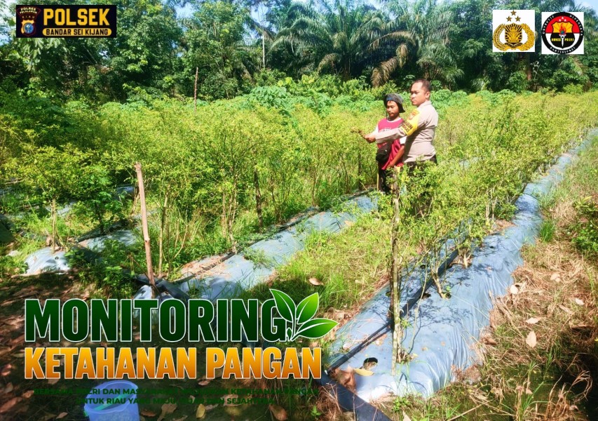 Bhabinkamtibmas Desa Lubuk Ogung Monitoring Lahan Program Ketahanan Pangan Milik Warga