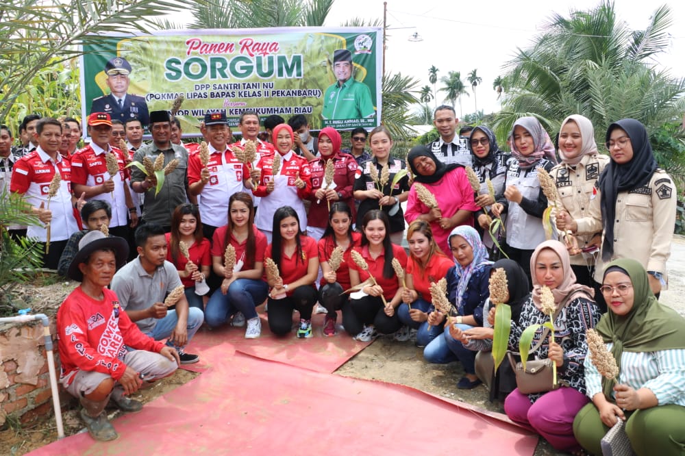 Bersama Klien BAPAS, Kepala KANWIL KEMENKUMHAM Riau Panen Sorgum Dan Tanam Cabe Di Griya Abipraya Santri Tani NU BAPAS Pekanbaru