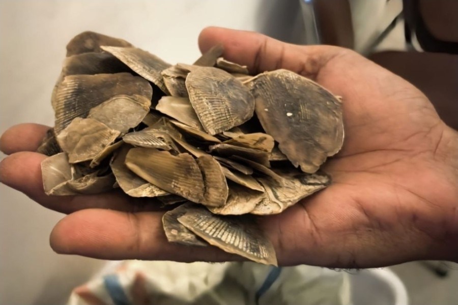 Polisi Gagalkan Perdagangan Sisik Tenggiling 30 Kg ,Satu Pelaku diamankan