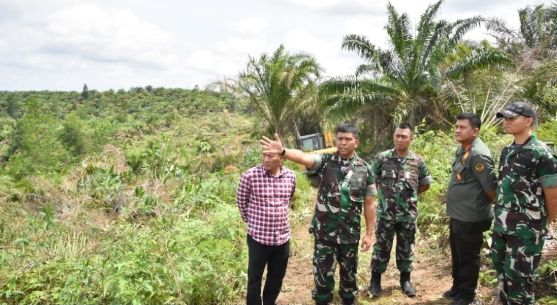 Danrem 031/Wira Bima pantau lansung kegiatan penumbangan sawit +-400 an Ha di kawasan TNTN  yang telah diserahkan untuk di hijaukan kembali (Reforestasi)