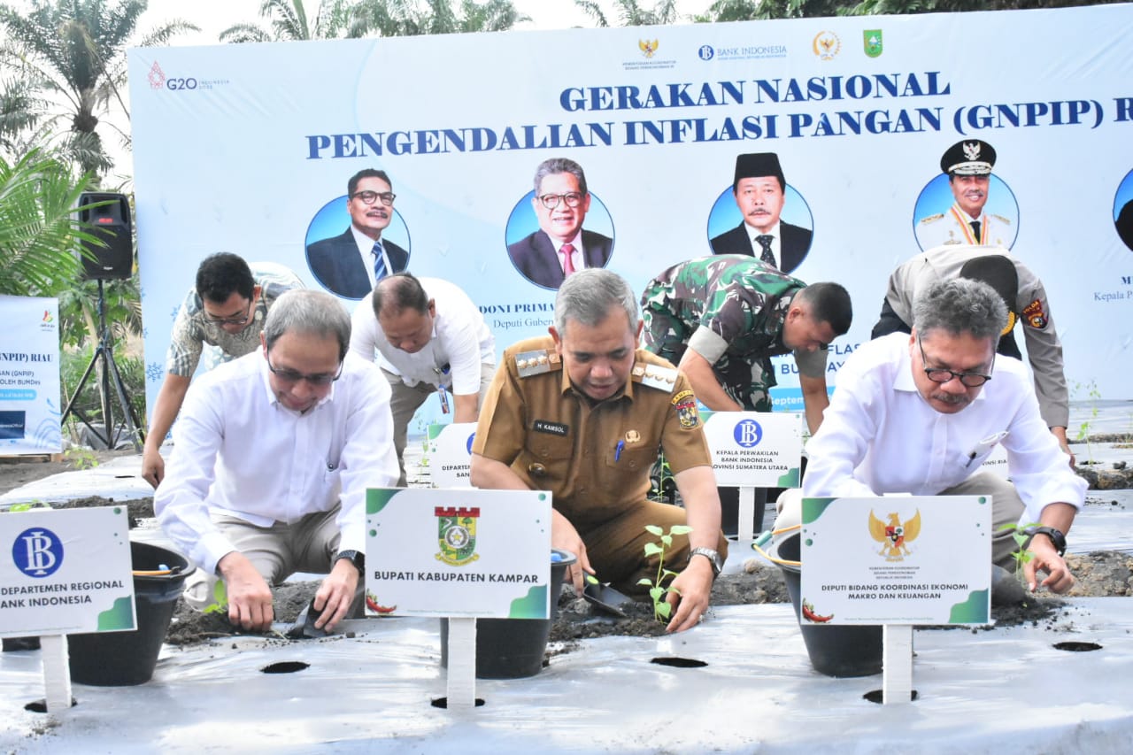 Bersama Pj. Bupati Kampar, Deputi Kementerian Perekonomian Resmikan GNPIP Riau di Pulau Birandang