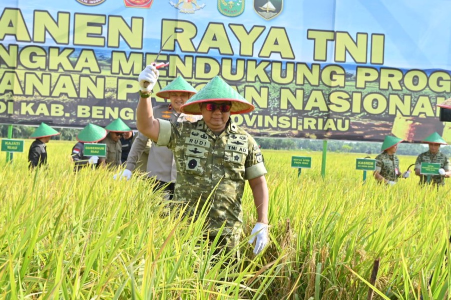 Kasdam Kodam XIX Tuanku Tambusai Pimpin Panen Raya Bengkalis, Terhubung dengan Presiden RI dalam Panen Raya Nasional