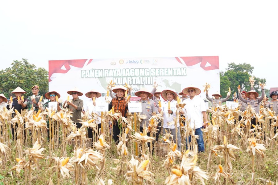 Polda Riau Gelar Panen Raya Serentak Kuartal III 2025, Wujud Nyata Sinergi untuk Ketahanan Pangan