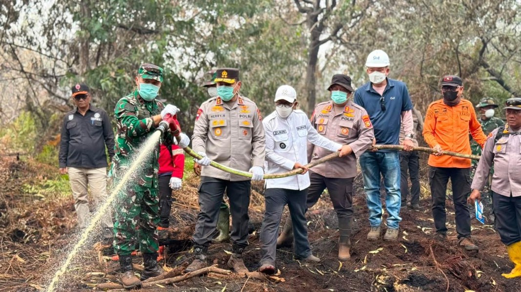 TNI dan Tim Gabungan Berjibaku Padamkan Karhutla di SM Kerumutan, 82 Hektare Berhasil Dikendalikan