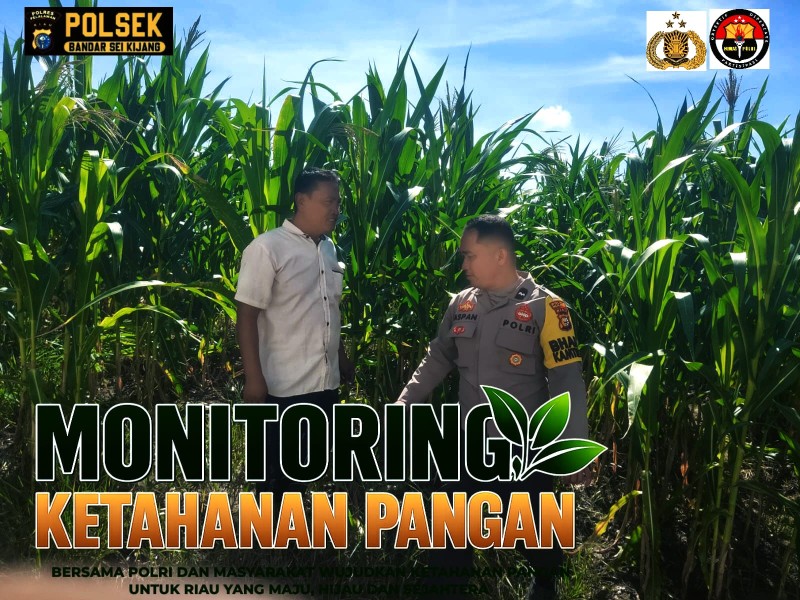 Polsek Bandar Sei Kijang Dampingi Petani Bumdes Mandiri Rawat Tanaman Jagung, Dukung Ketahanan Pangan Pelalawan