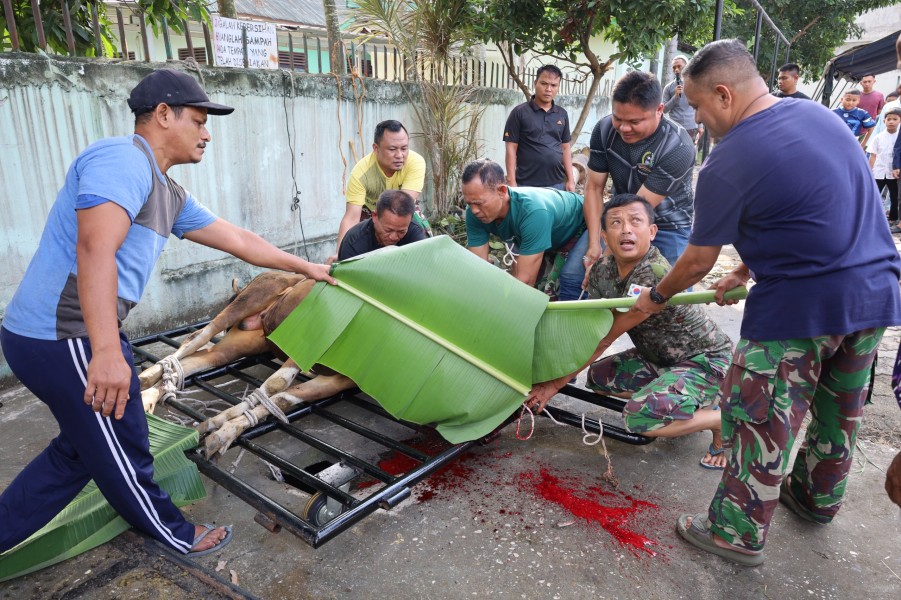 Semangat Berbagi Idul Adha, Kodam XIX/Tuanku Tambusai Sembelih 18 Ekor Sapi dan 9 Ekor Kambing