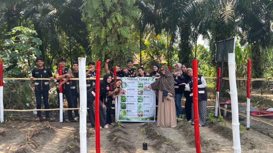 Tanam Manfaat, Tumbuhkan Kepedulian : KKN Kelompok 10 UMRI Kembangkan Program TOGA