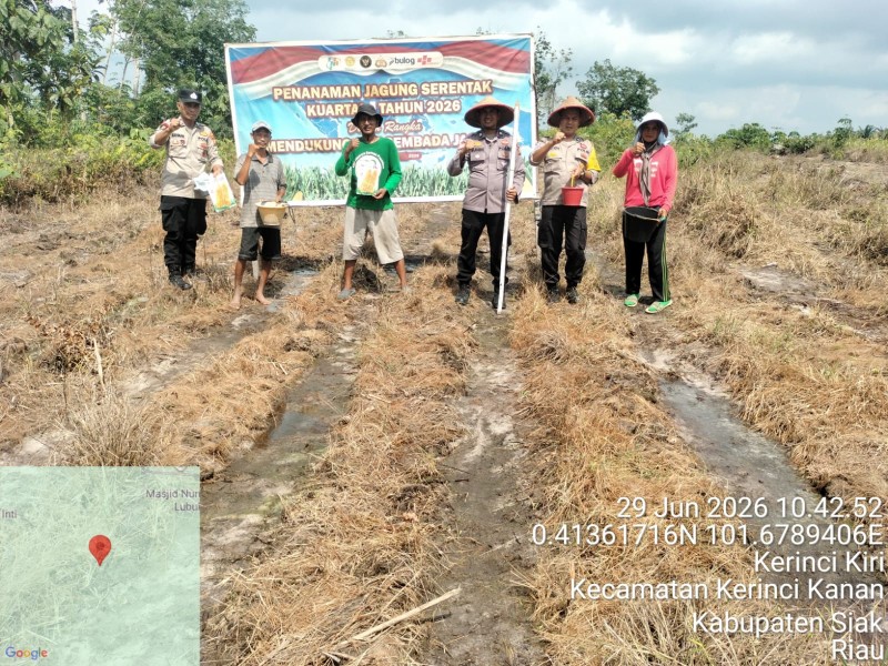 Polsek Bandar Sei Kijang Dukung Ketahanan Pangan Nasional Lewat Penanaman Jagung Pipil di Desa Lubuk Ogong