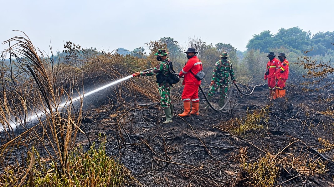 Kodam XIX/Tuanku Tambusai Intensifkan Penanganan Karhutla di Dua Lokasi Indragiri Hulu
