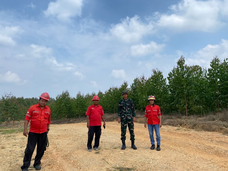 Kodam XIX/Tuanku Tambusai Pastikan Wilayah Sorek Aman, Patroli QRF Tak Temukan Titik Api
