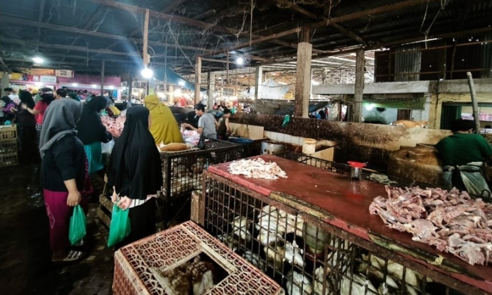 Tembus Rp37.000 per Kg, Harga Ayam Potong di Pekanbaru Naik Drastis