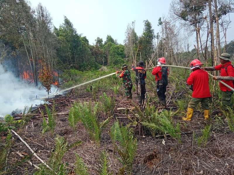 Kodam XIX Tuanku Tambusai Perkuat Pemadaman Karhutla di Bengkalis, 10 Hektare Lahan Terbakar