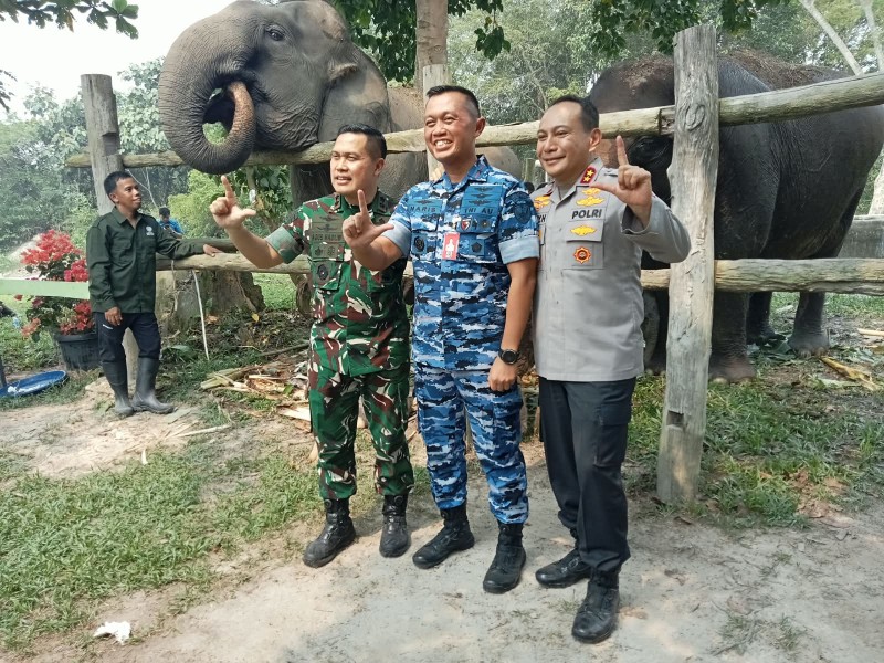 Kolaborasi Pemerintah dan TNI di Tesso Nilo, Pangdam XIX/TT Dampingi Menteri Kehutanan Tinjau Camp Elephant Flying Squad