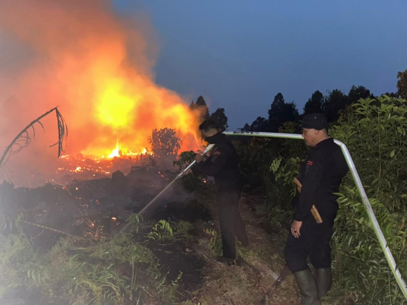 Tak Kenal Waktu, Brimob Riau Berjibaku Padamkan Karhutla di Meranti hingga Malam