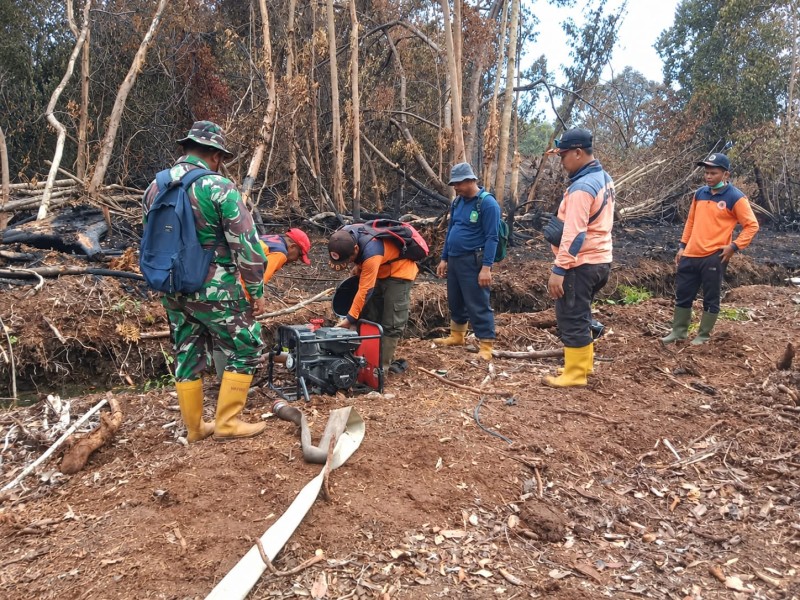 Kodam XIX/Tuanku Tambusai Kejar Titik Asap di Inhu, 471,39 Hektare Lahan Masih Dalam Penanganan