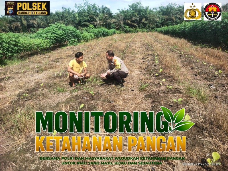 Bhabinkamtibmas Desa Lubuk Ogung Monitoring Lahan Ketahanan Pangan Milik Warga