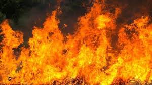 Sebuah Kamar Kos di Kramat Jati Terbakar, 1 Orang Penghuni Kos Meninggal