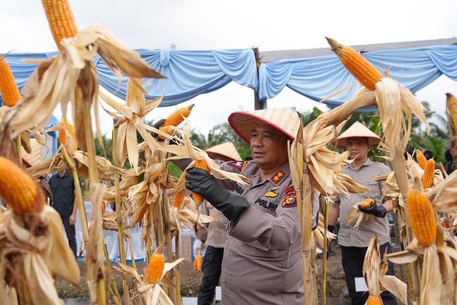 Kabagops Brimob Polda Riau Dampingi Kapolda Panen Raya Jagung di Kampar