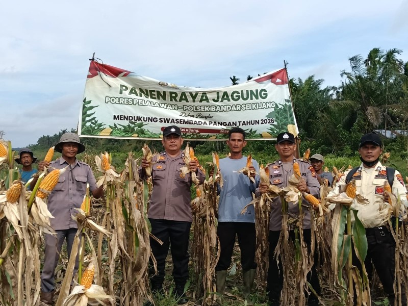 Polsek Bandar Sei Kijang Gelar Panen Jagung Dukung Program Astacita Ketahanan Pangan Nasional