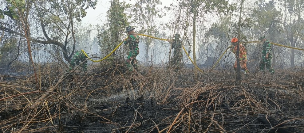 Sinergi TNI-Polri dan Tim Gabungan Bergerak Cepat Atasi Kebakaran Hutan dan Lahan di Rimba Panjang