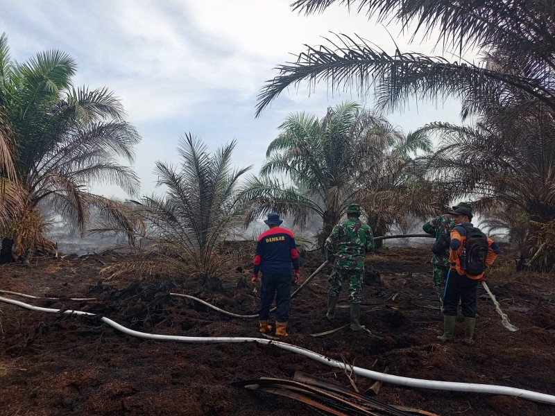 Kodam XIX/Tuanku Tambusai Terus Berjibaku Padamkan Karhutla di Rengat, 2,4 Hektare Lahan Berhasil Diamankan