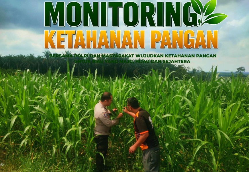 Polsek Bandar Sei Kijang Dampingi Petani Jagung di Lubuk Ogung, Dukung Ketahanan Pangan Pelalawan