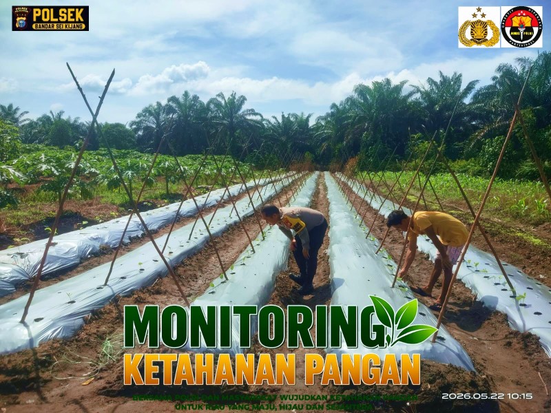 Bhabinkamtibmas Desa Lubuk Ogung Pantau Tanaman Kacang Panjang Warga, Dukung Ketahanan Pangan Nasional
