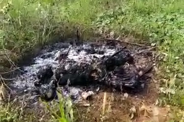 Pelaku Diduga Pembunuh Perempuan Yang Hangus Terbakar di Cisauk, Ditangkap Polisi