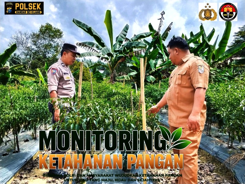 Bhabinkamtibmas Sekijang Turun ke Kebun Cabe Warga, Dukung Program Ketahanan Pangan di Bandar Sei Kijang