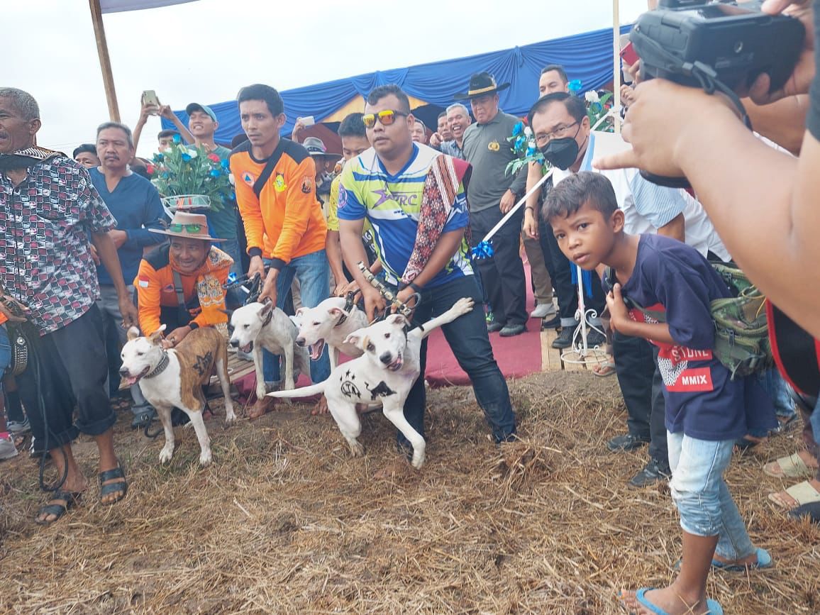 Memperingati HUT Bhayangkara ke 76, Porbi Riau Gelar Safari Berburu Babi di Desa Bukit Ranah