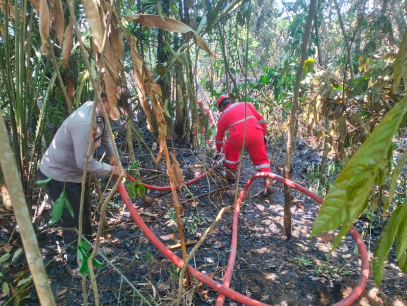 Polresta Pekanbaru Bersama Warga dan PT PHR Padamkan Kebakaran Lahan di Areal Gedung Pramuka Lembah Sari