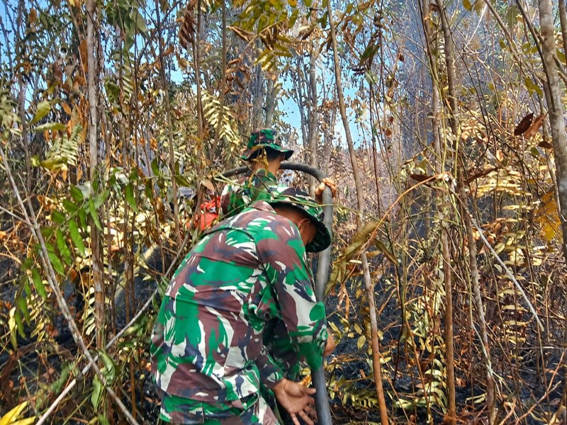 Personel Gabungan Terus Bekerja di Lahan Karhutla Pulau Jum'at