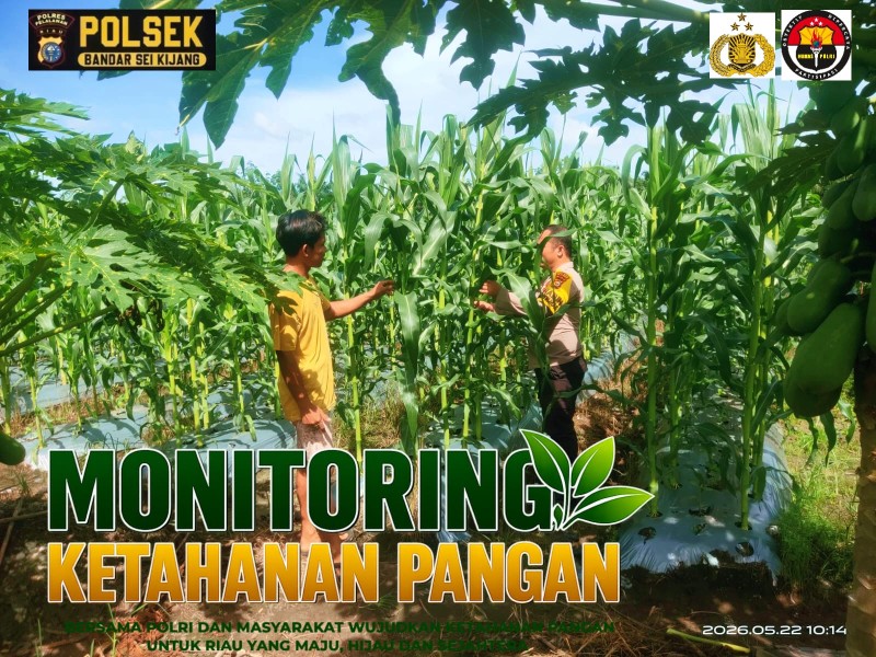 Bhabinkamtibmas Desa Lubuk Ogung Kembali Monitoring Lahan Ketahanan Pangan Milik Warga