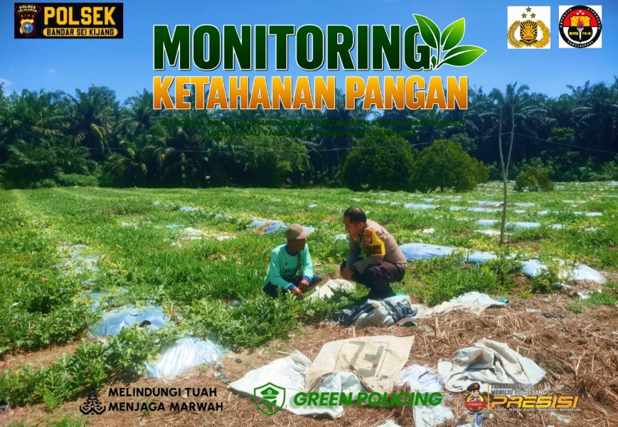 Polsek Bandar Sei Kijang Dampingi Petani Rawat Kebun Semangka, Dukung Ketahanan Pangan di Lubuk Ogung
